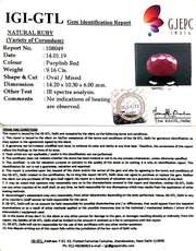10.18 Ratti Natural Neo Burma Ruby with Govt Lab Certificate-(3441)